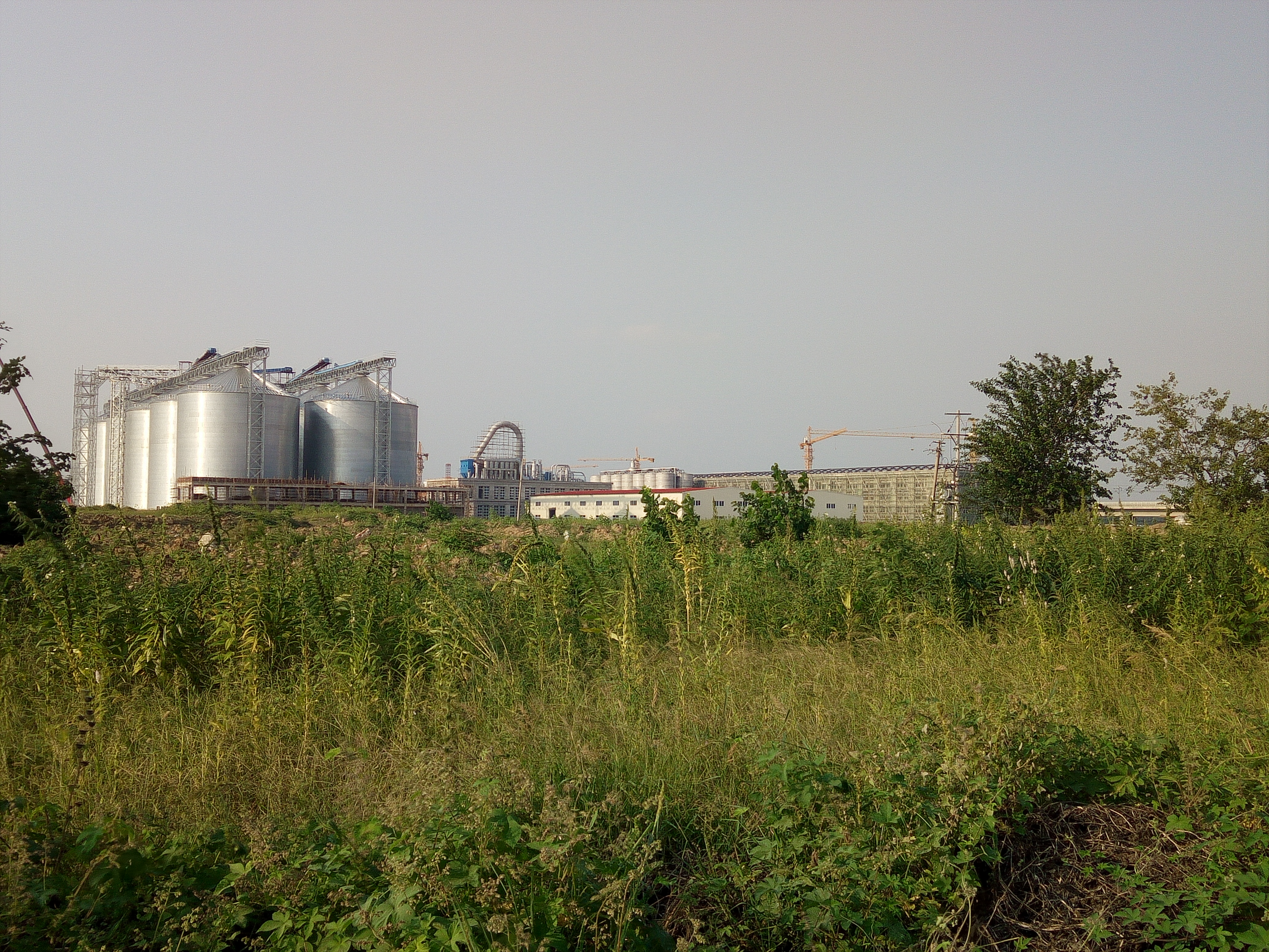 ����Զ��